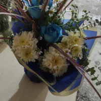 گل طبیعی|گل و گیاه طبیعی|ری, دولتآباد|دیوار