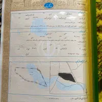 باغ کشاورزی|فروش دفتر صنعتی، کشاورزی، تجاری|سروآباد, |دیوار