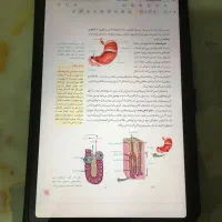 ردمی پد پرو +قلم|تبلت|خرم‌آباد, |دیوار