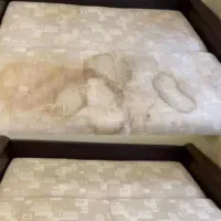 شستشوی مبل و خوشخواب درمنزل درشهرضا و حومه|خدمات نظافت|شهرضا, |دیوار