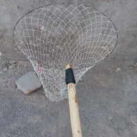 تور کفتر سالم