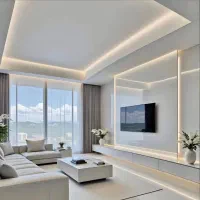 برقکار برقکار ساختمان برقکش