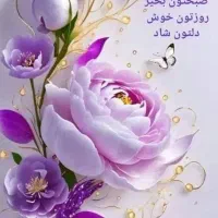 نگهداری از سالمند