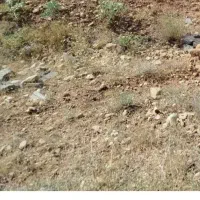 فروش فوری زمین مشاع بلوار اتحاد