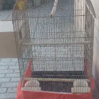 قفس بزرگ استیل سلطنتی