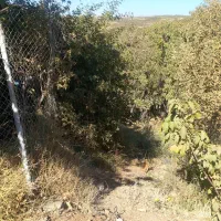 زمین کشاورزی|فروش دفتر صنعتی، کشاورزی، تجاری|سامان, |دیوار