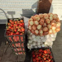 پخش تره بار رستوران و کبابی ها|عمده‌فروشی|تهران, میدان میوه و تره‌بار مرکزی|دیوار