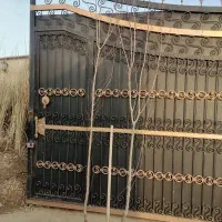 نهال بادام 3ساله دسته بیلی نیست در جهان