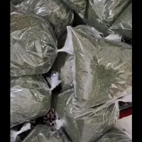 شوید خوشبو خوش عطر|خوردنی و آشامیدنی|تهران, مینابی|دیوار