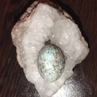 نگین فیروزه نیشابور مغز سنگ