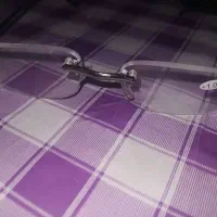 لامپ چراغ رقص نور|لامپ و چراغ|اهواز, دغاغله|دیوار