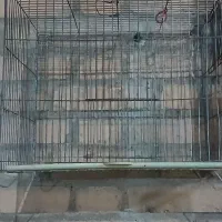 2تاقفس پرنده
