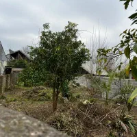 زمین-مسکونی-230متری-بانامه-بنیاد-برآسفالت-دوردیوار