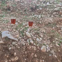 زمین-مهندسی-کشاورزی-مهدیس