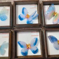 پروانه کادویی(طلا)|جواهرات|تهران, صادقیه|دیوار