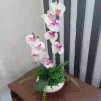 گلدانهای دکوری مصنوعی شیک و همیشه سبز|گل مصنوعی|چهاردانگه (تهران), |دیوار