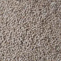 فروش نخود سفید ارگانیک اذربایجان