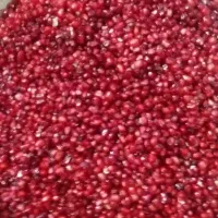 اناردون شدهکیلویی250|خوردنی و آشامیدنی|رشت, گیل|دیوار