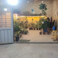 واگذاری مغازه گلفروشی