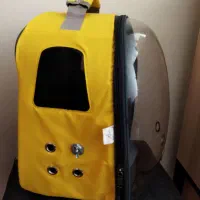 طوطی گرینچیک|پرنده|شهرکرد, |دیوار