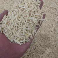 کارگر ساده نیروی کار جوان