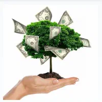 سرمایه گذاری