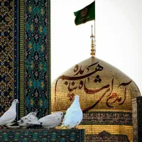 مشهد نقد وتمام اقساط