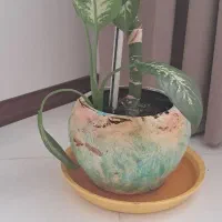 گل و گیاه