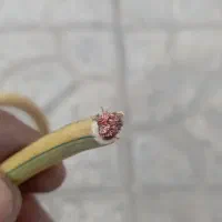 کابل 1/16 خراسان ممتاز مس