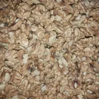 مغز گردو|خوردنی و آشامیدنی|گرمسار, |دیوار