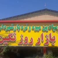 نیروی صندوق دار فروشگاه سبزیجات