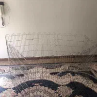 قفس سگ