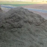 ۱۰تن یونجه خالص کوبیده شده
