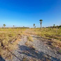 زمین-قابل-ساخت-و-سرمایه-گزاری-200متری-سنددار