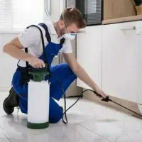 خدمات سم پاشی