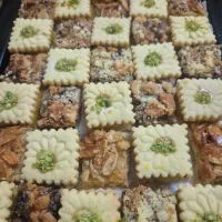 فروش حلوا خانگی بیوتیکی و بیسکویت برای مراسم|خوردنی و آشامیدنی|رشت, گلسار|دیوار
