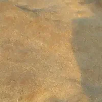 کاه دیمه گندم داخل کاهدون هستش صالح آباده