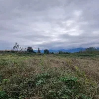 ۱۲ هزار متر با سند/مستعد تغییر کاربری