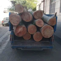 خریدچوب وکنده درخت وچوب سقفی و ریشه|خدمات باغبانی و درختکاری|نیشابور, باغرود|دیوار