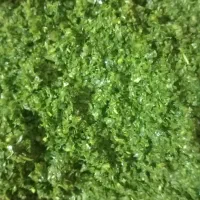 سبزی خورشتی