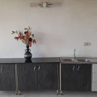 کابینت فلزی ،سینک دولگنه ، هود