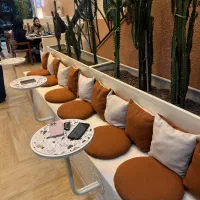 ظرفشور خانم