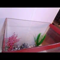 لوازم جانبی حیوانات|ماهی|ایرانشهر, |دیوار