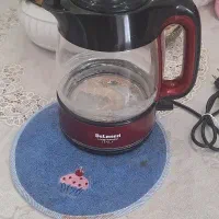 کتری برقی دلمونتی