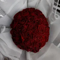 گل روبانی