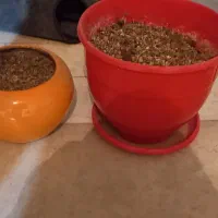 پلاستیک جات|ظروف نگهدارنده، پلاستیکی، یکبارمصرف|مشهد, رستگار|دیوار