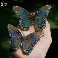 نقاشی