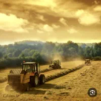 فروش ۲ هکتار