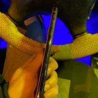 فروش فوری iphone xs max 256|موبایل|قم, امامزاده ابراهیم|دیوار