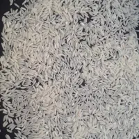 عرضه مستقیم برنج طارم هاشمی|خوردنی و آشامیدنی|قم, شهرک سازمان آب|دیوار